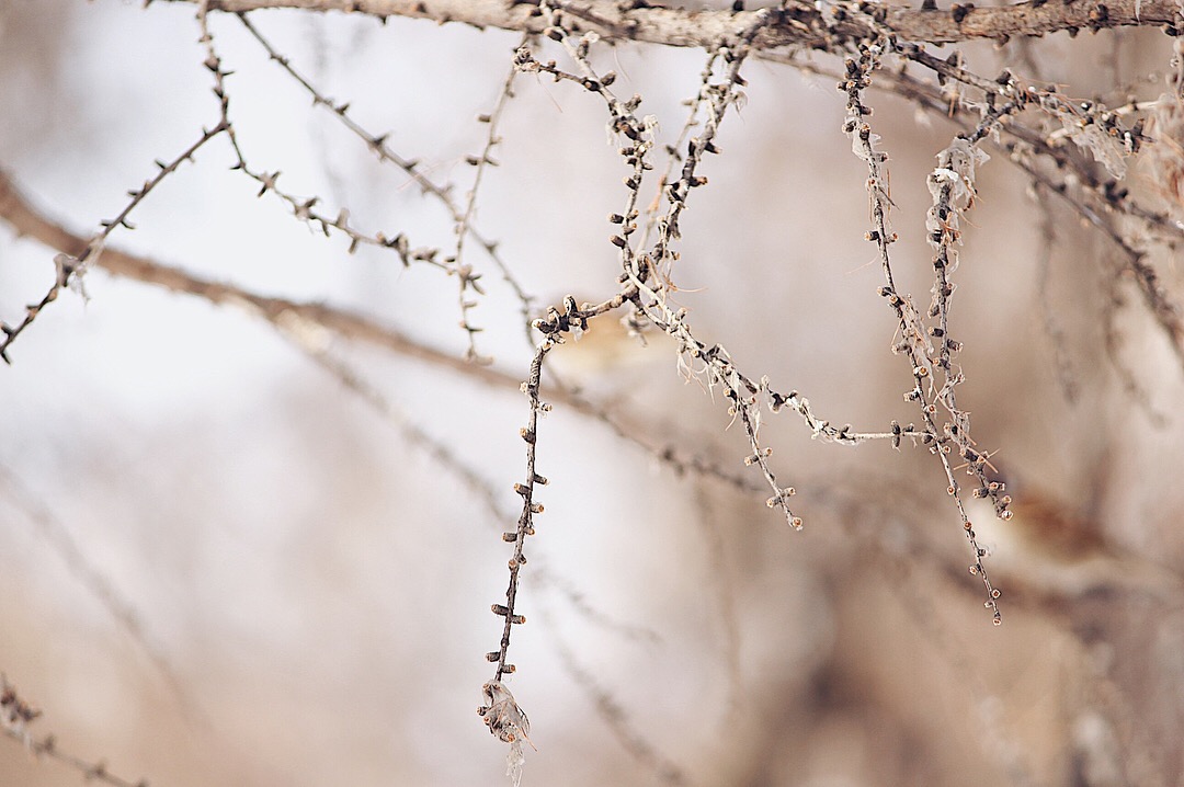Когда-нибудь потом