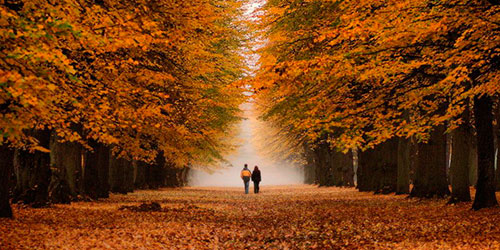 Не взять нас птицам на поруки