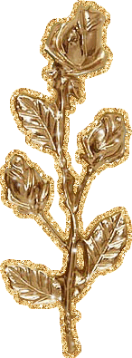 Золотая Роза Купить