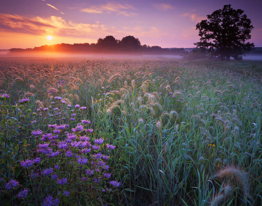 Я мечтаю о майских грозах