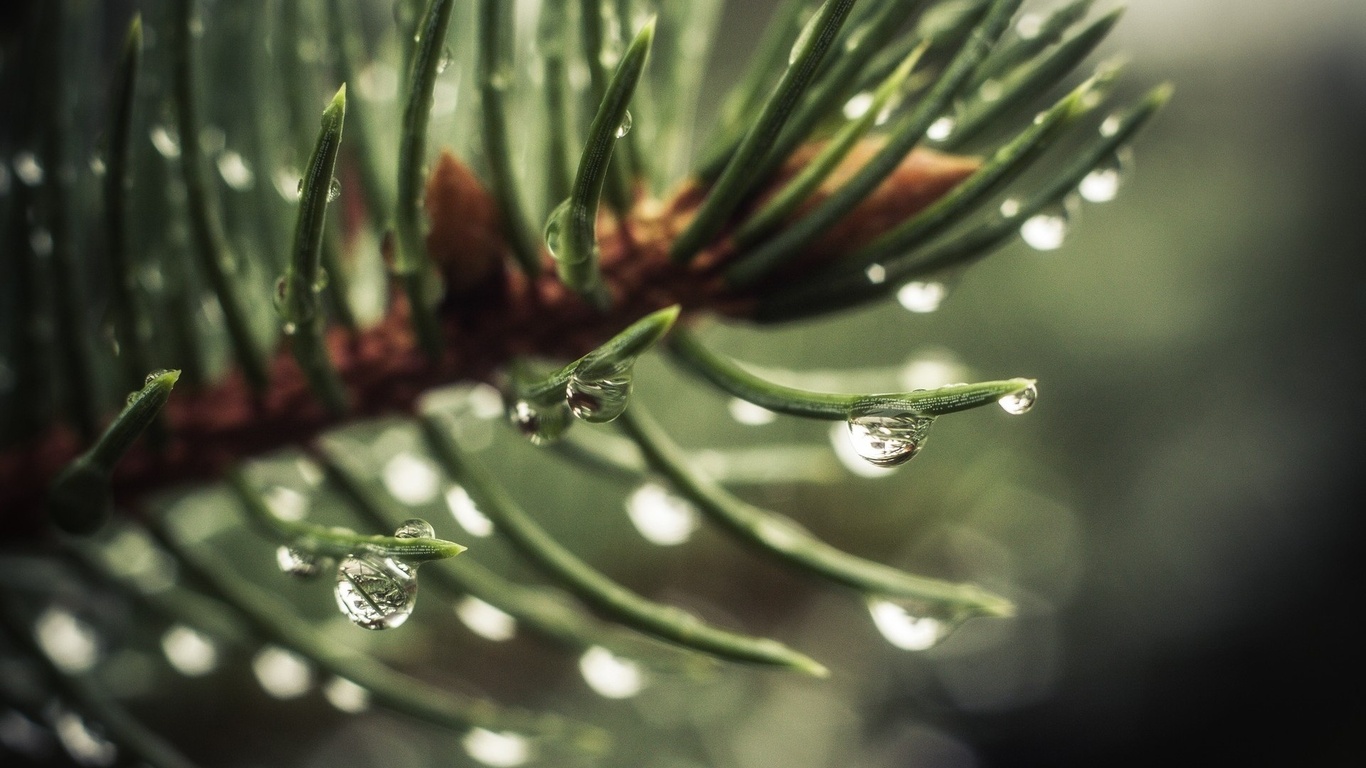 День весенний