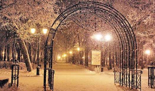 Мы-ночные гости фонарей