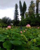 Мне Нравится Гулять С Тобою В Парке