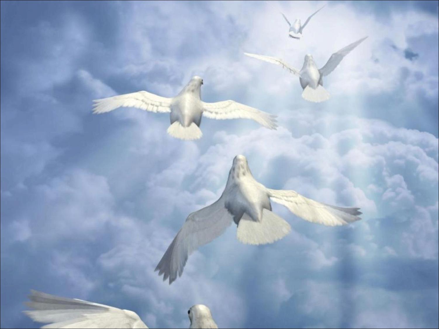 Опаленные крылья. Зимняя вишня