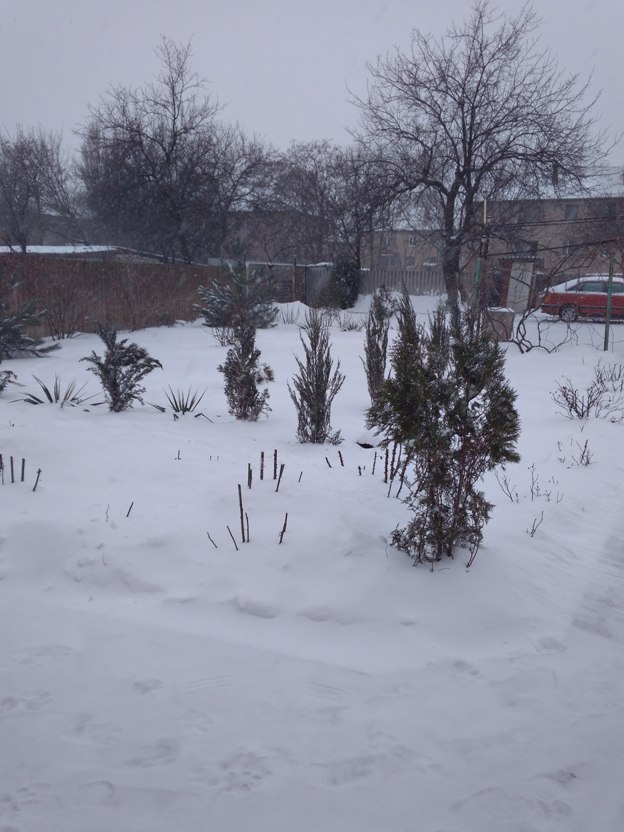 Март явно пленился зимою