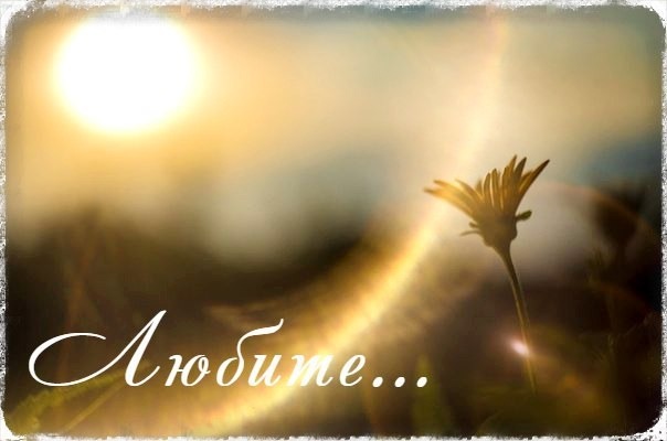 Любить вот так всем бедам вопреки