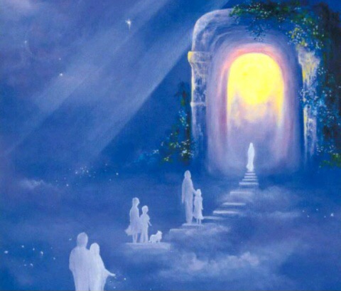 И боль у нас на всех одна