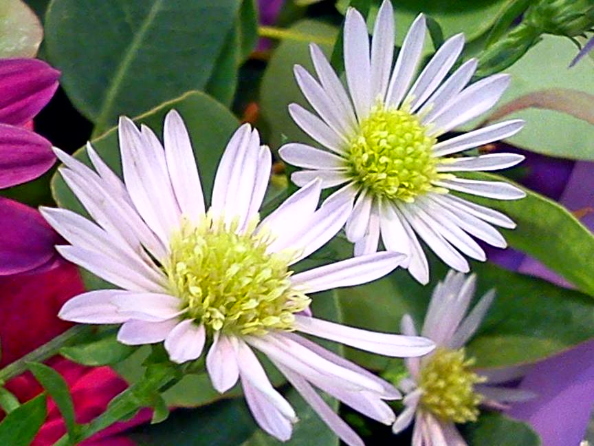 Притчи, глава 1