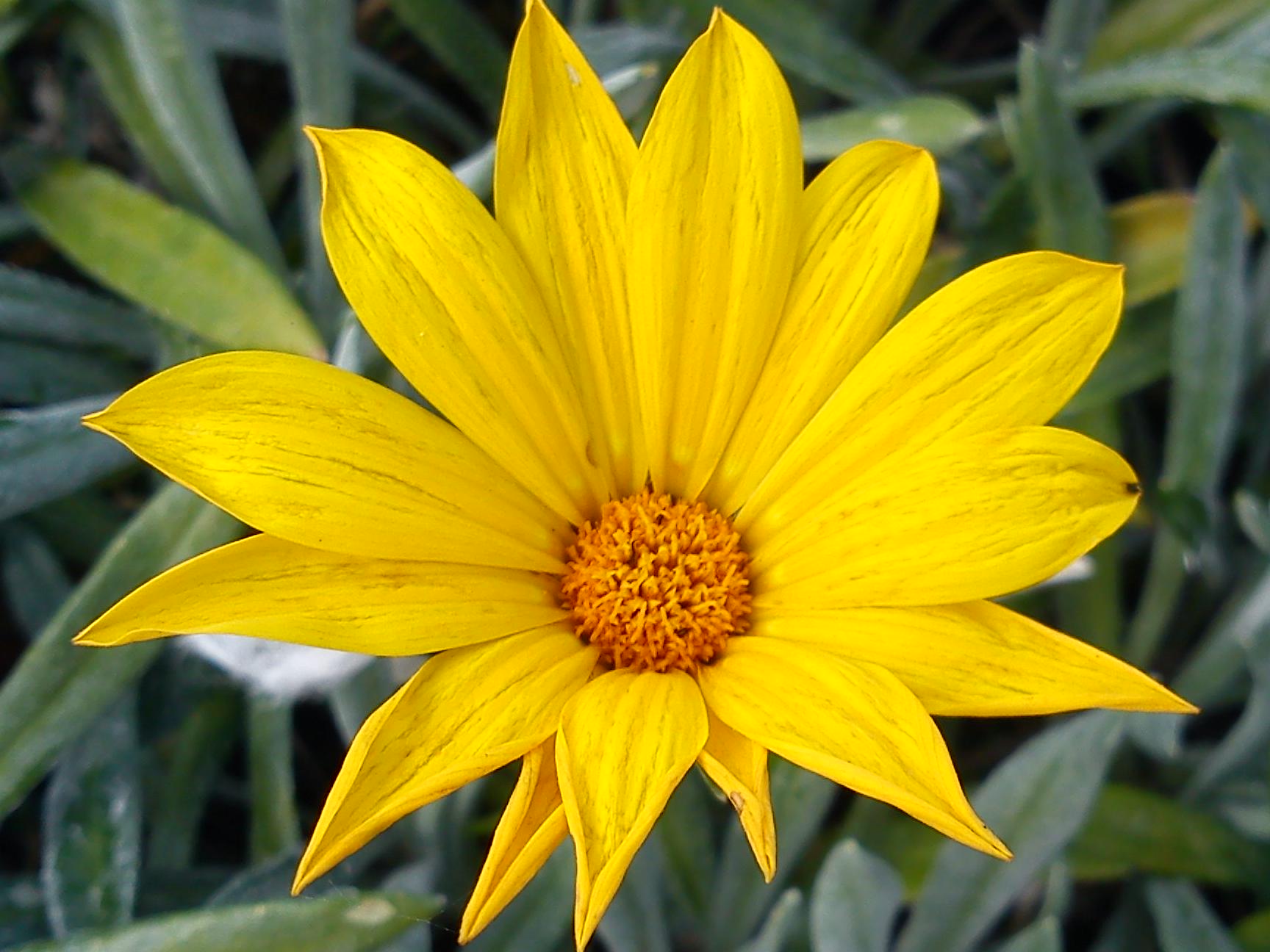 Притчи, глава 2