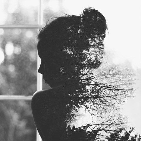 Опустела палитра художника...