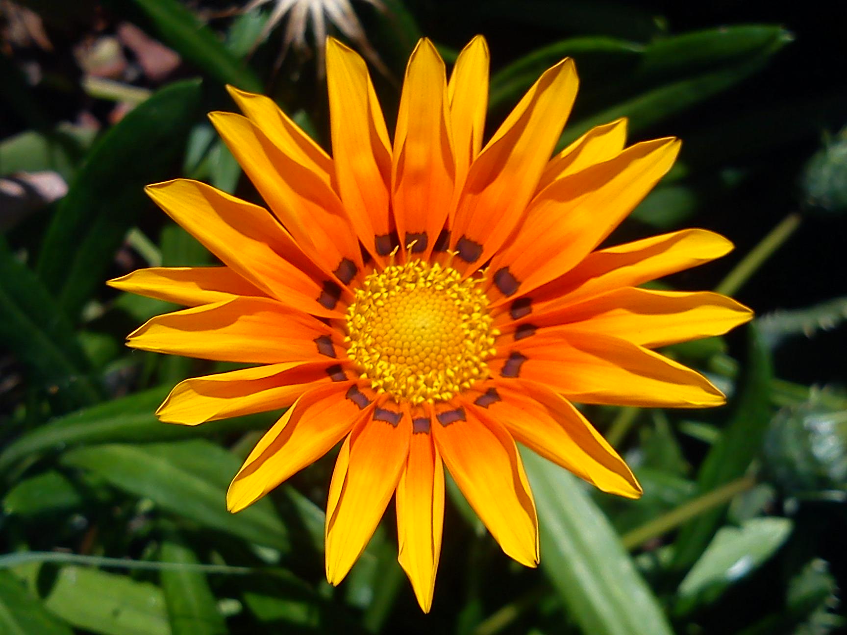 Притчи, глава 11