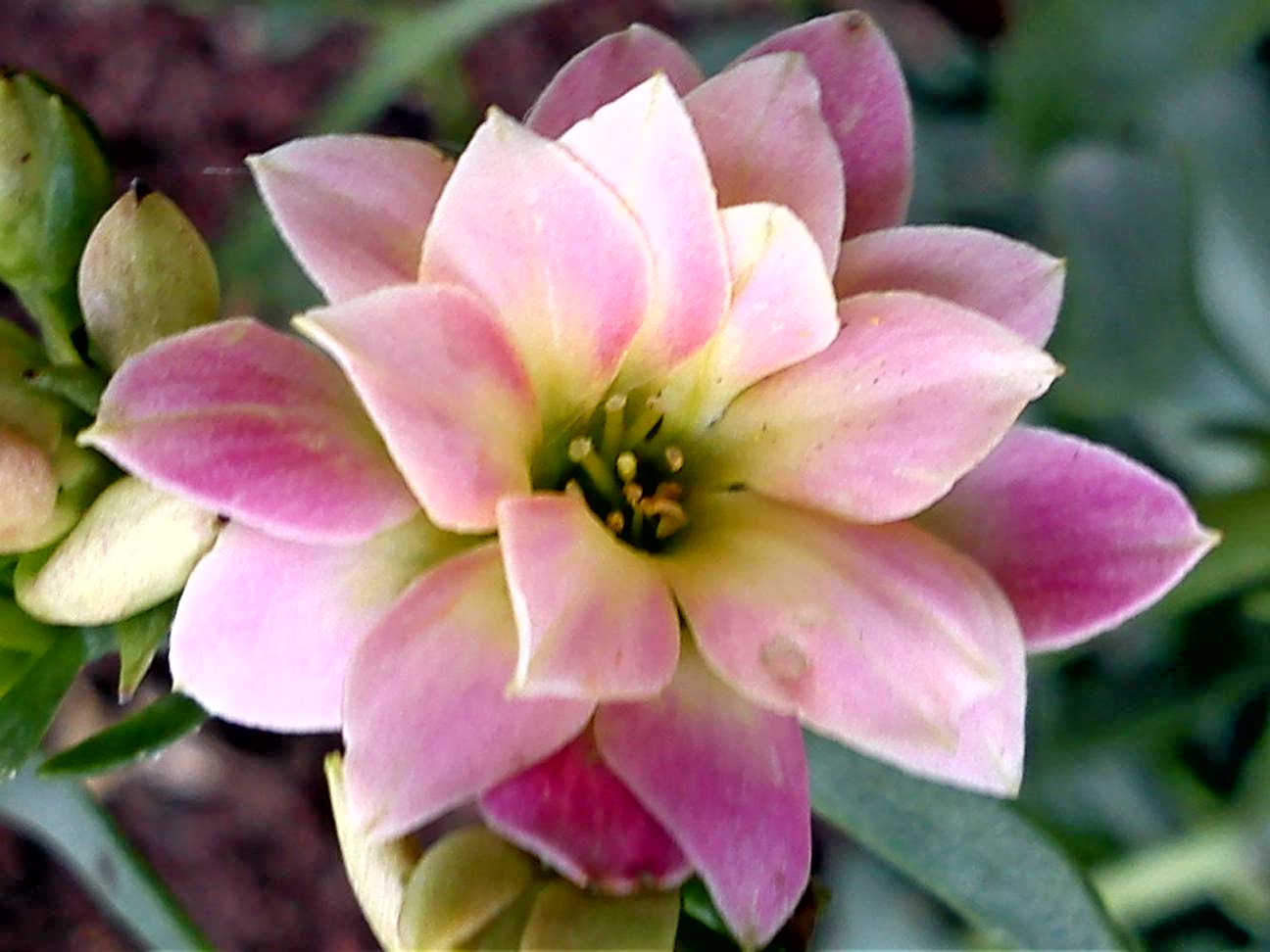 Притчи, глава 12