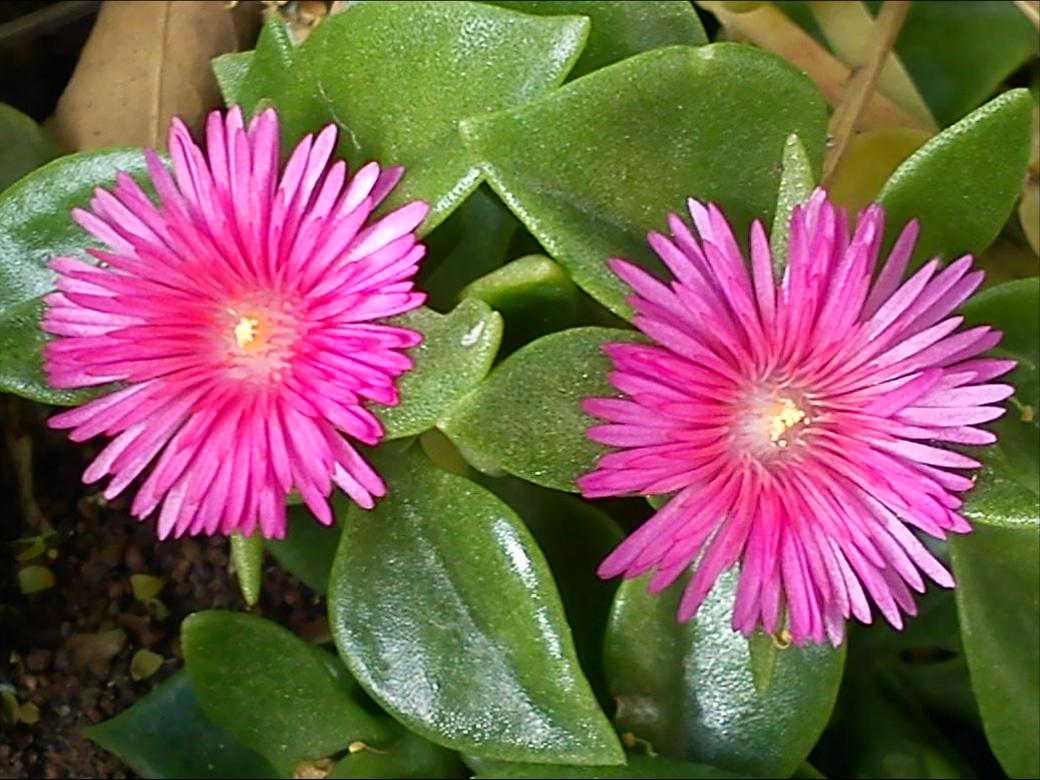 Притчи, глава 13