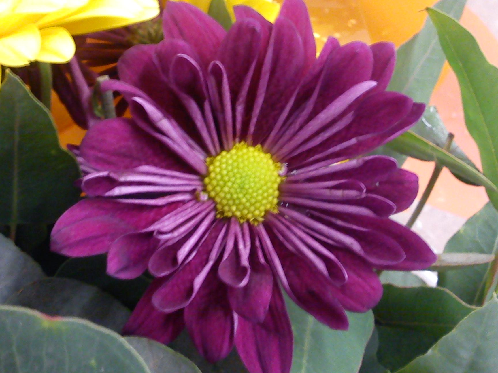 Притчи, глава 14