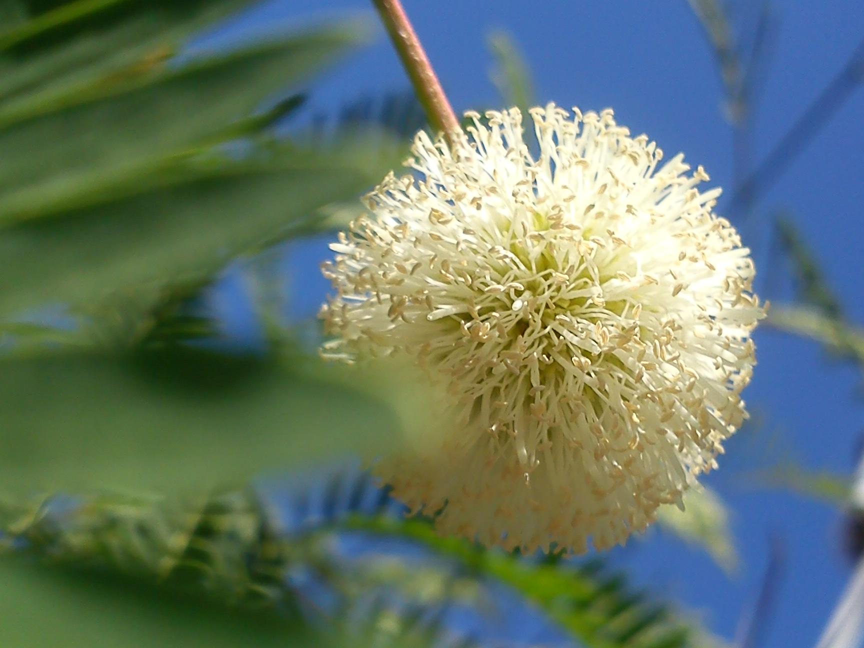 Притчи, глава 15