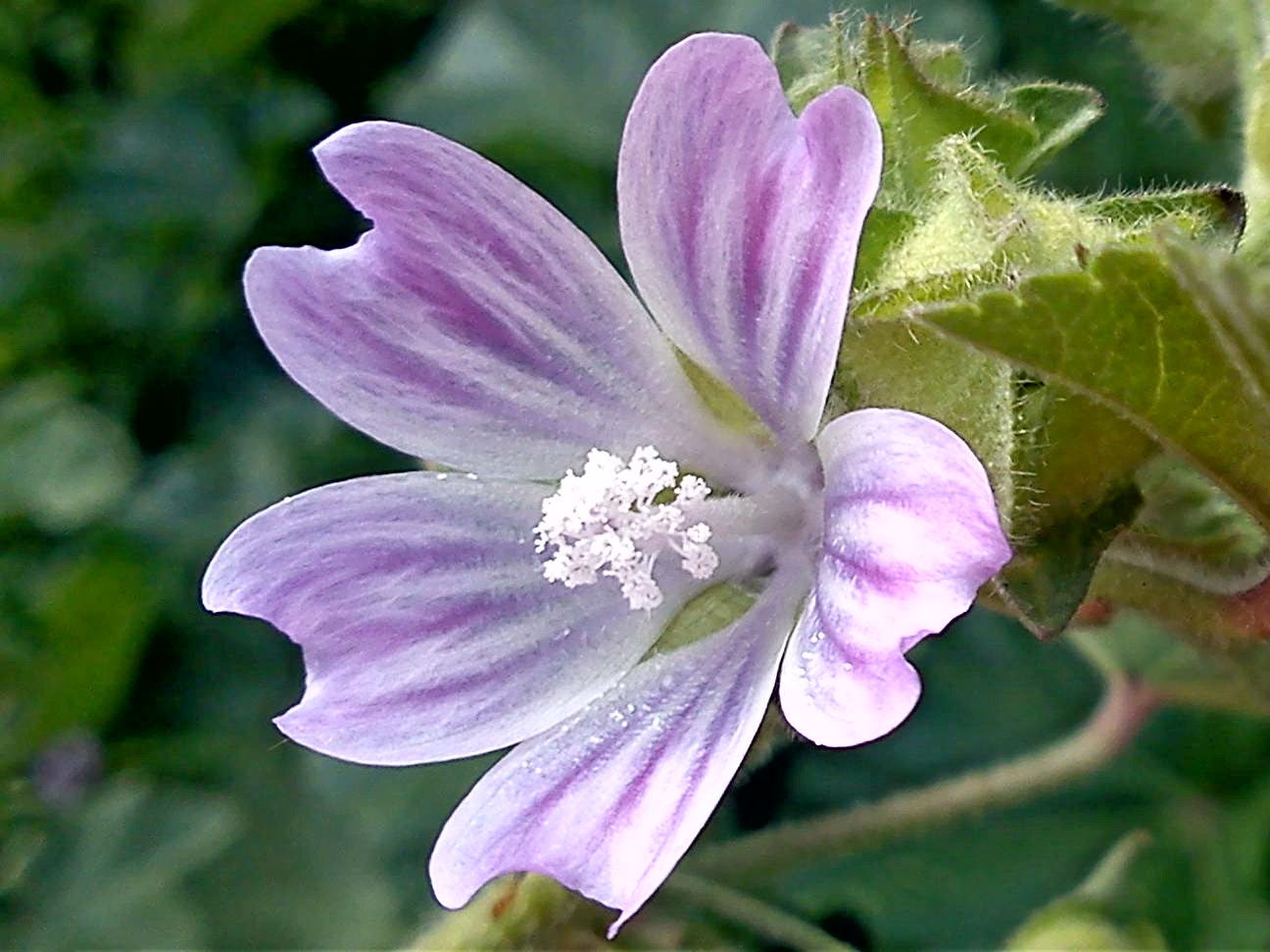 Притчи, глава 16