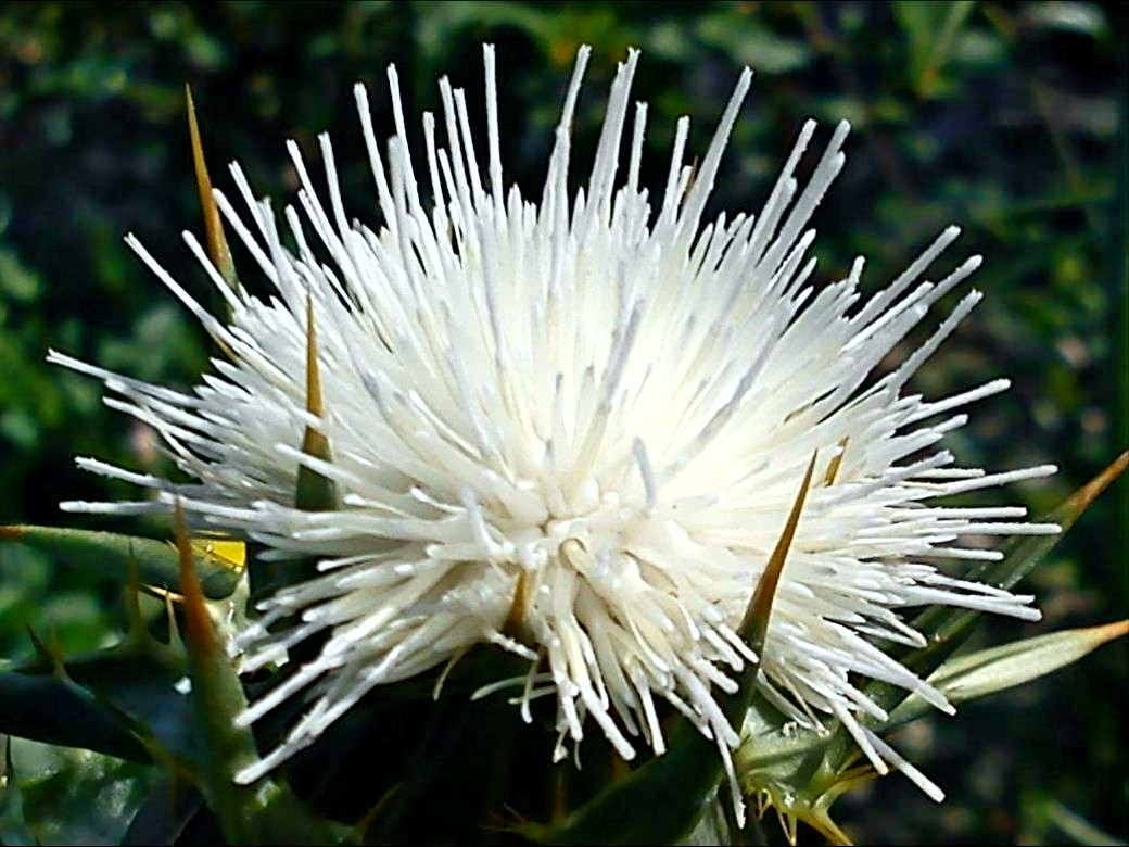 Притчи, глава 19