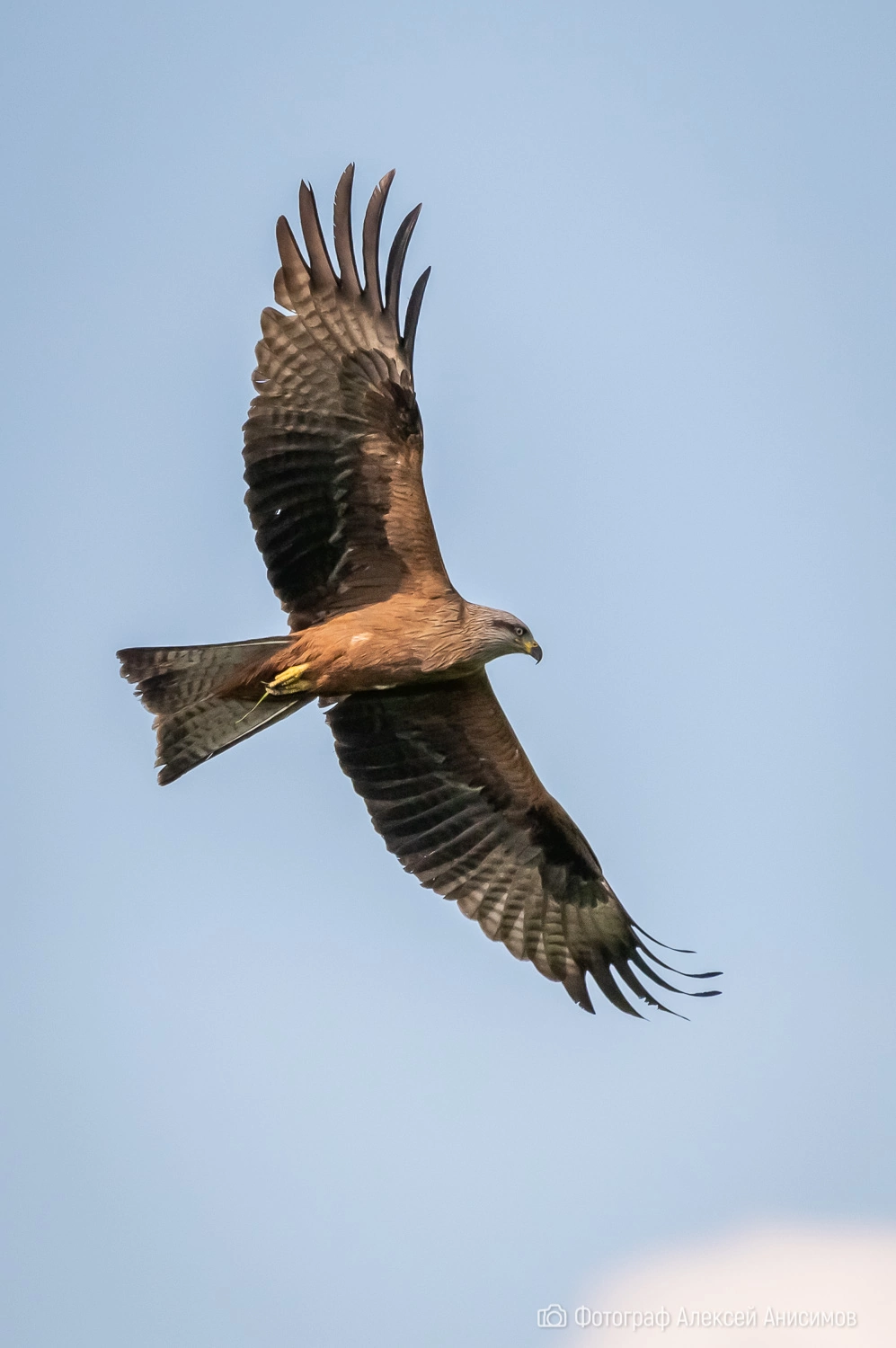 мне не страшно