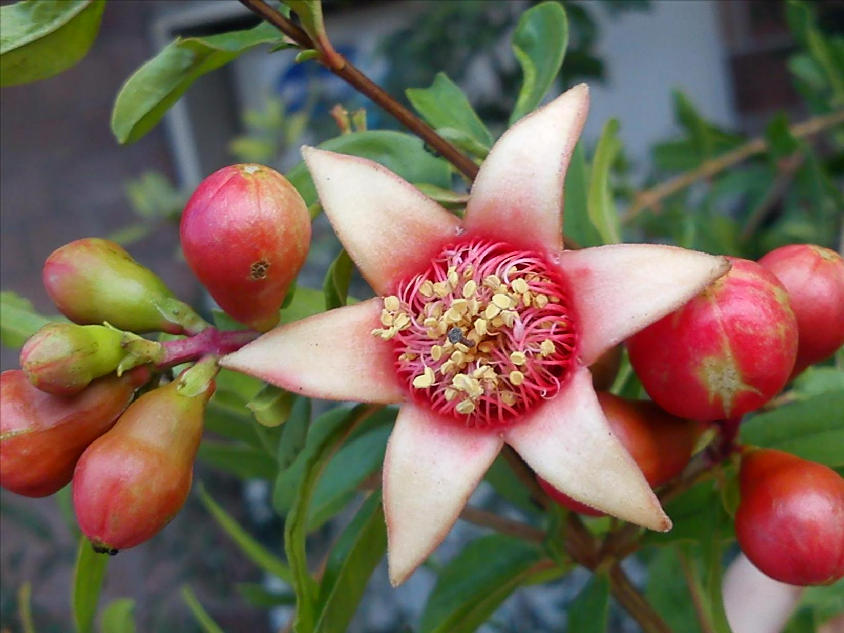 Притчи, глава 4