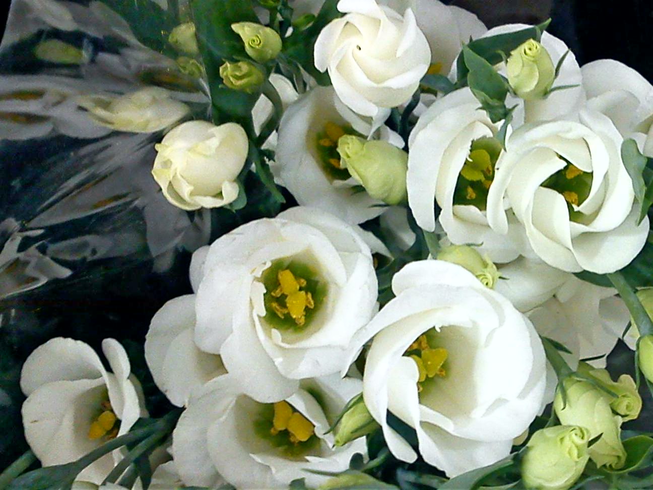 Притчи, глава 8