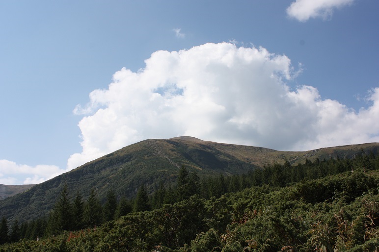 Голгофа. Я пришёл дать