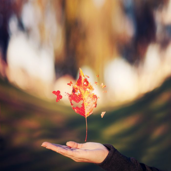 Половодье чувств