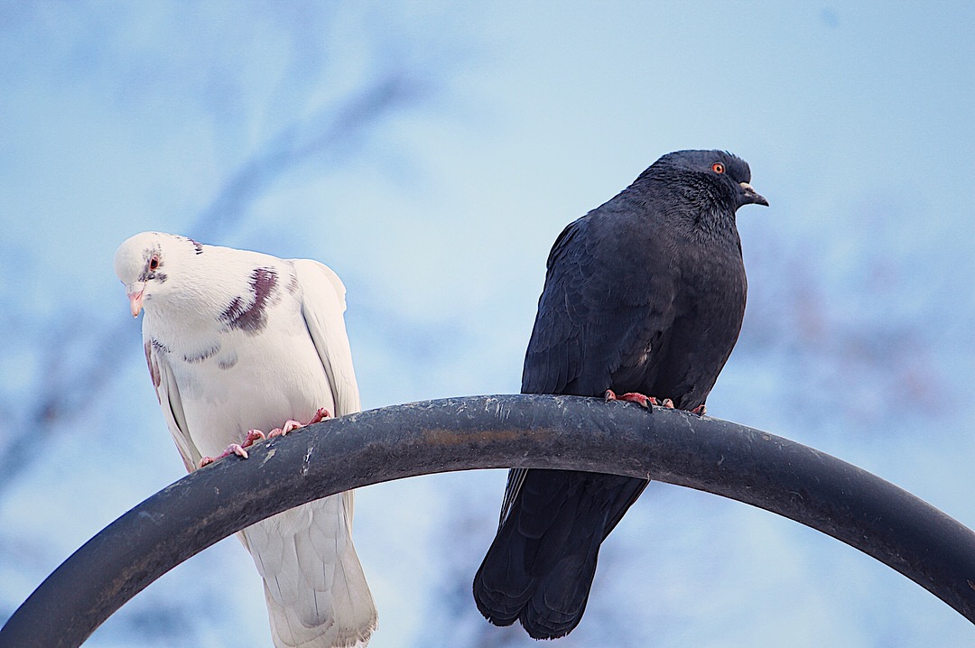 Грустная принцесса