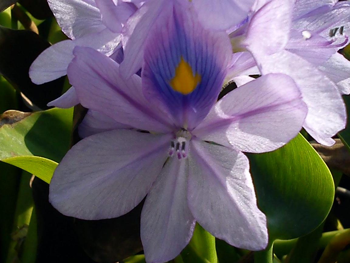 Притчи, глава 22