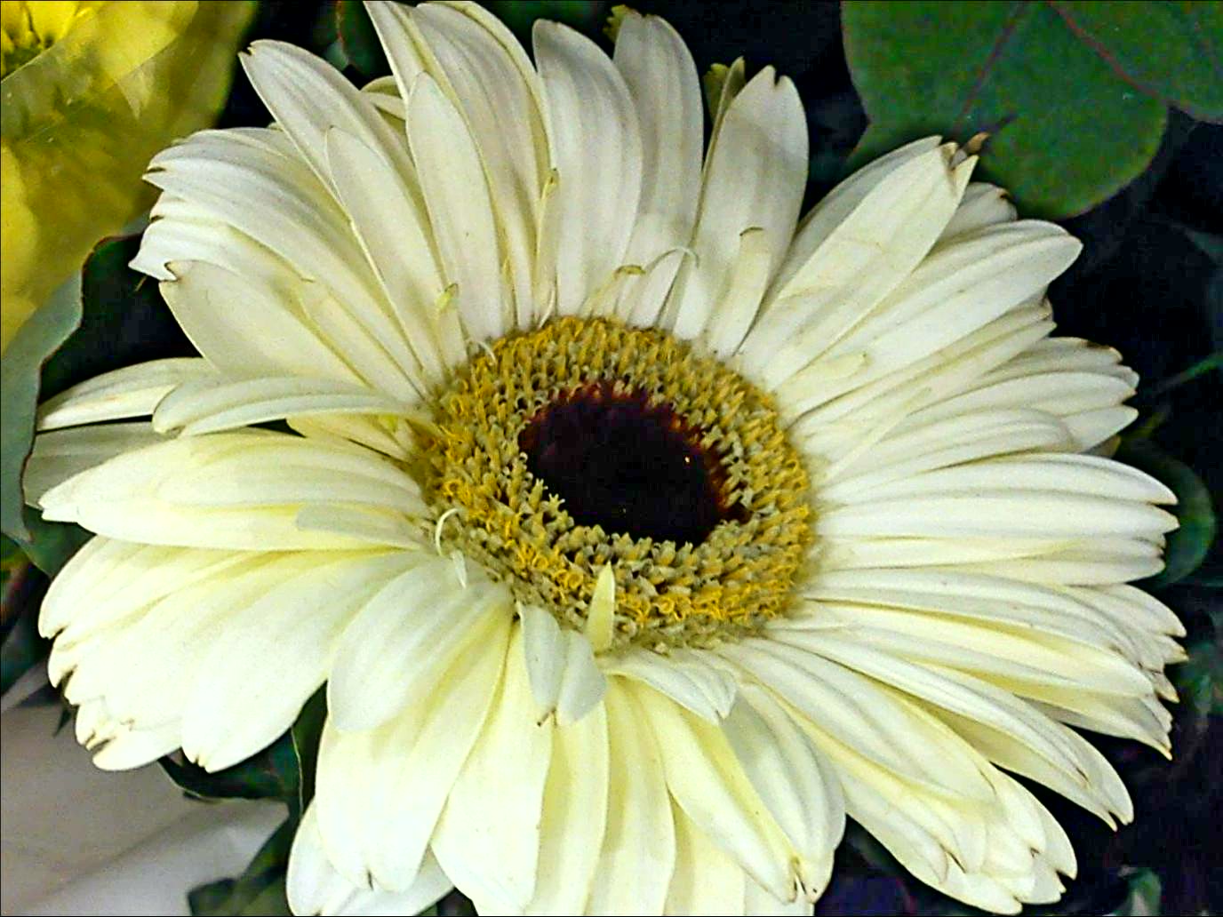 Притчи, глава 23