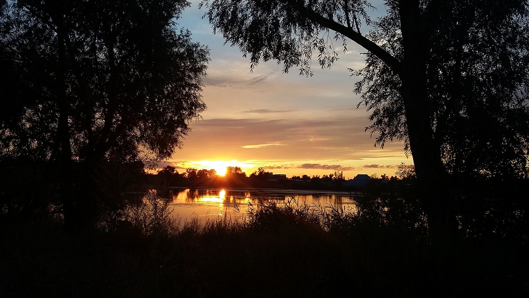 Хоть чувства стали так глухи