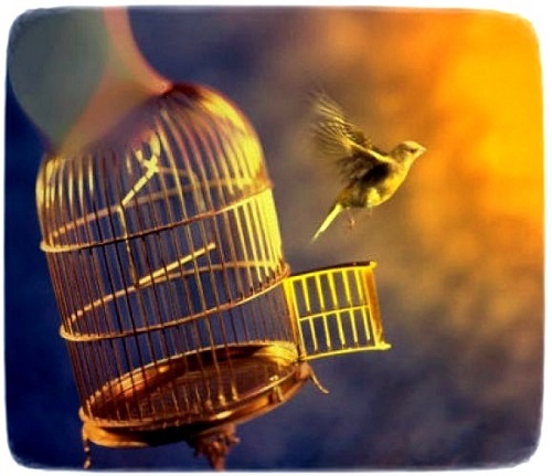 С жиру бешусь?