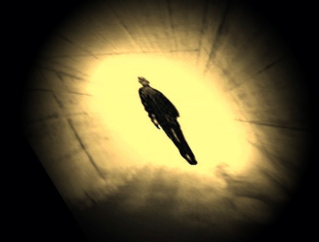 Неисповедимы пути