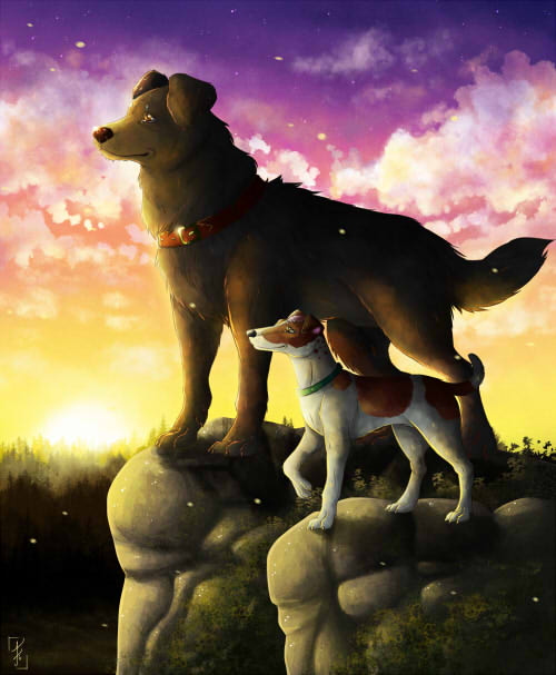 Песня бродячего пса