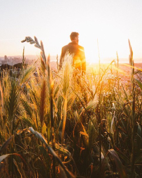 Стихотворение