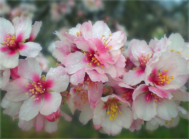 На бумаге строфа