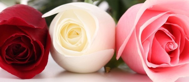 Читая Байрона