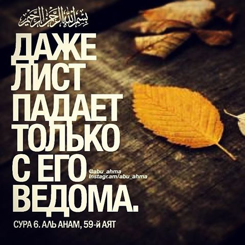О, мой Святой Господь, всему Свидетель - Ты!
