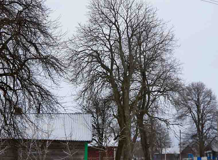 Зникни и больш не прыходзь-ка!