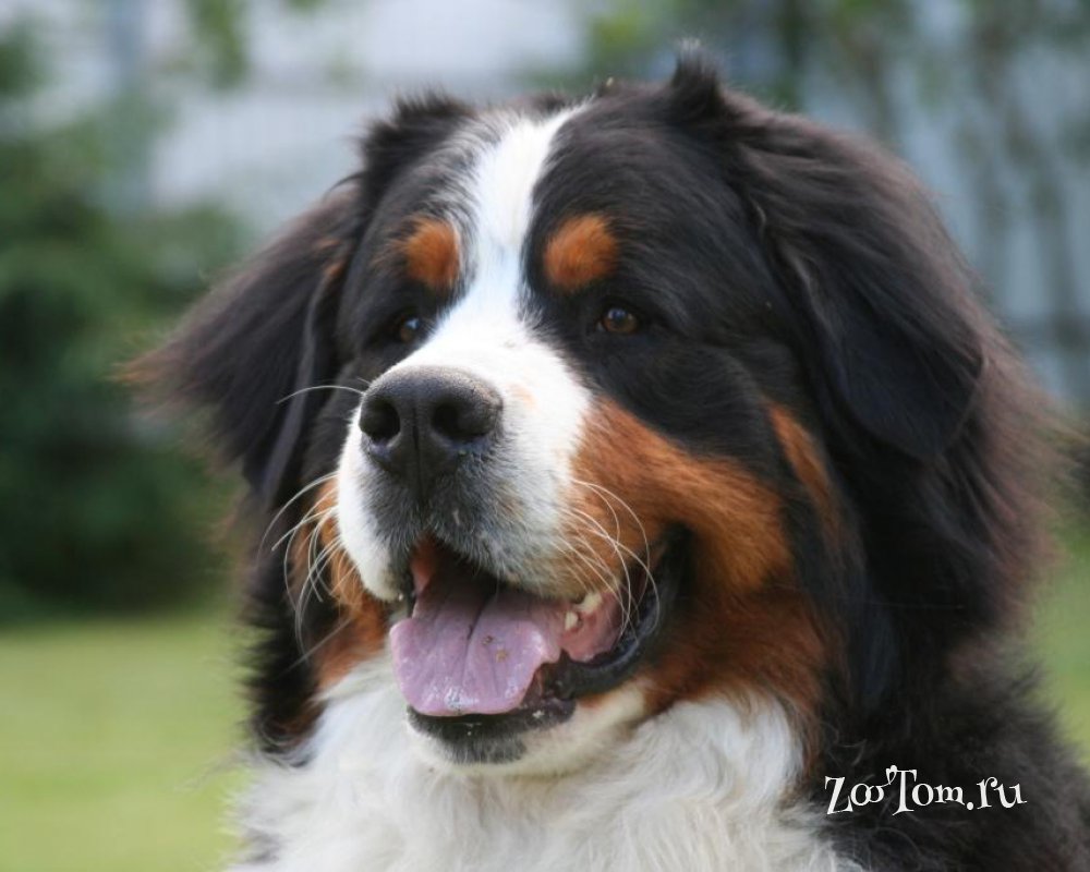 А ещё... я так... мыслю о будущей Жизни...