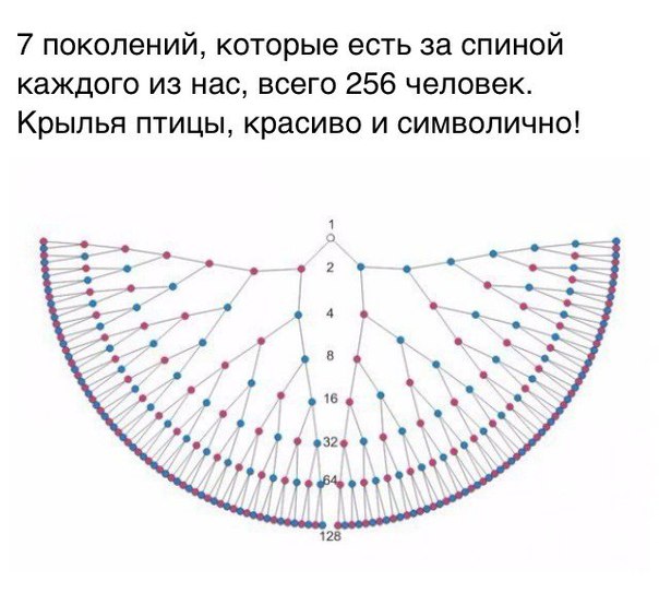 Крылья рода схема