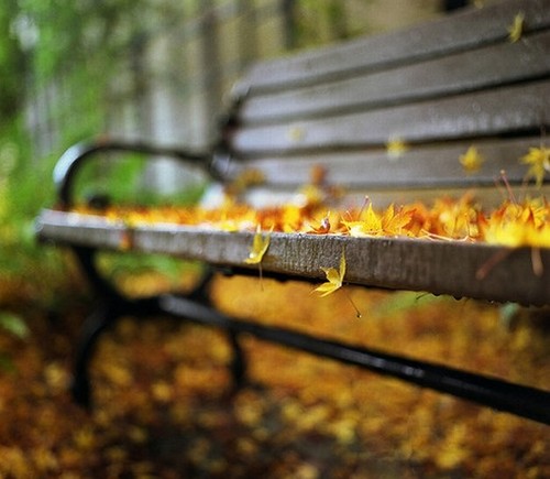 Я тебя буду помнить всегда