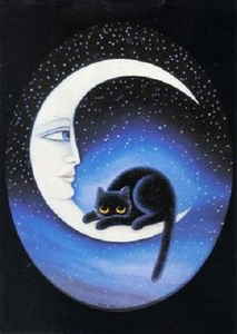 Лунная фантазия