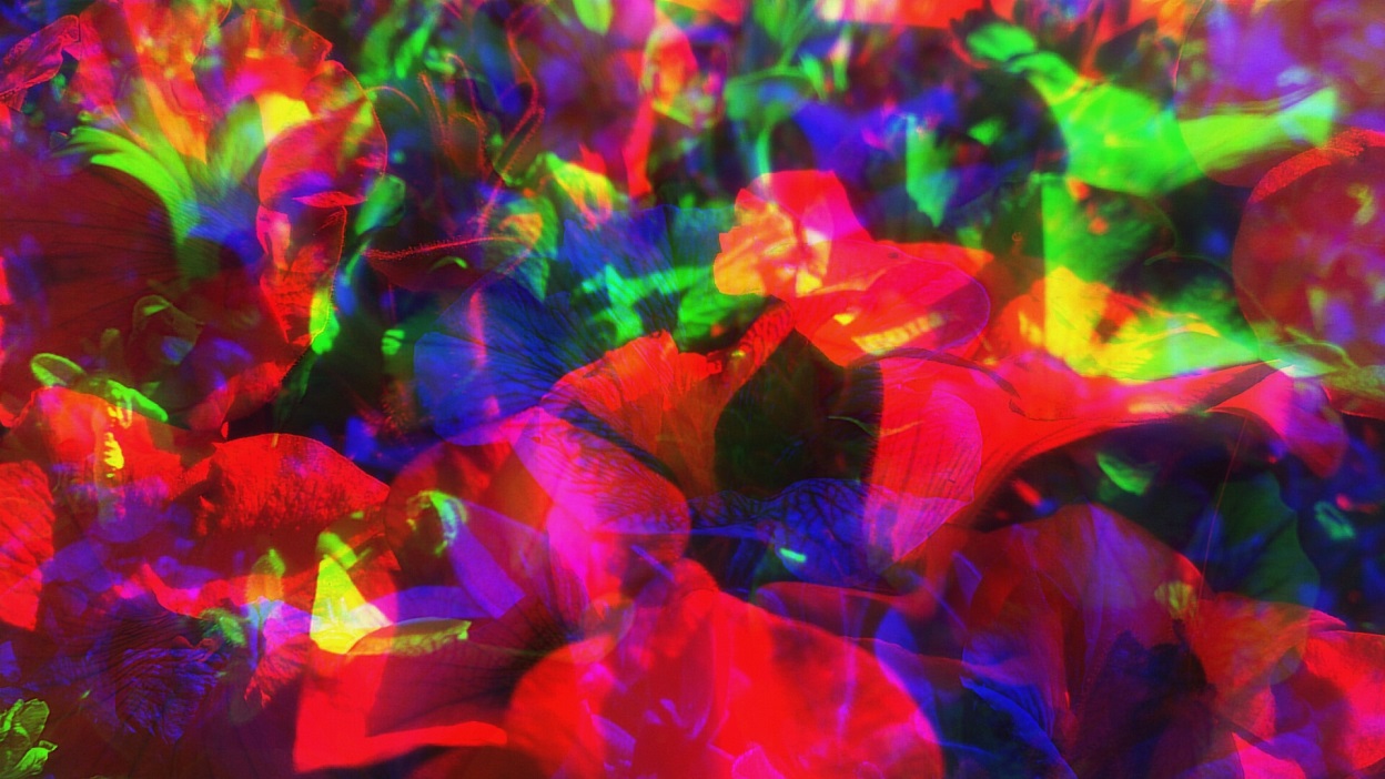 Когда в тебя гвозди так больно вколочены?