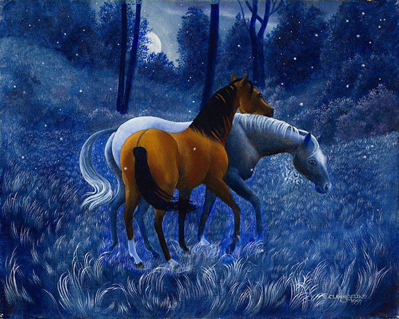 Волшебный сон