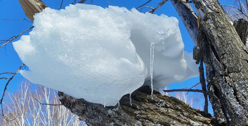Весенний экватор
