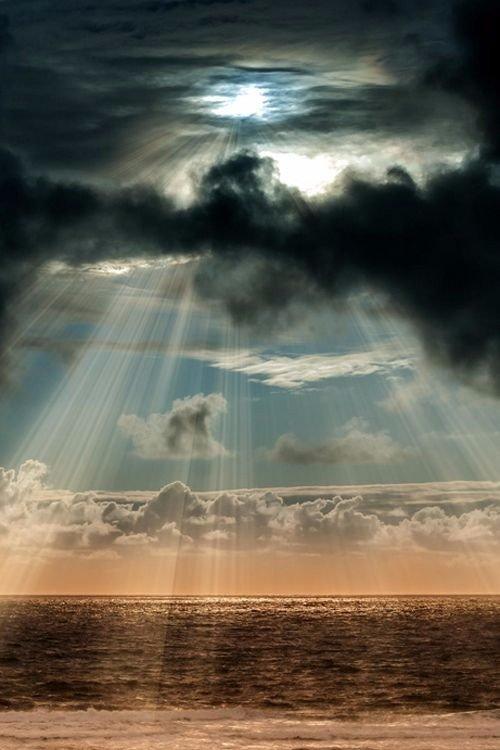 Тихая гавань (Александра Едапина) / Стихи.ру