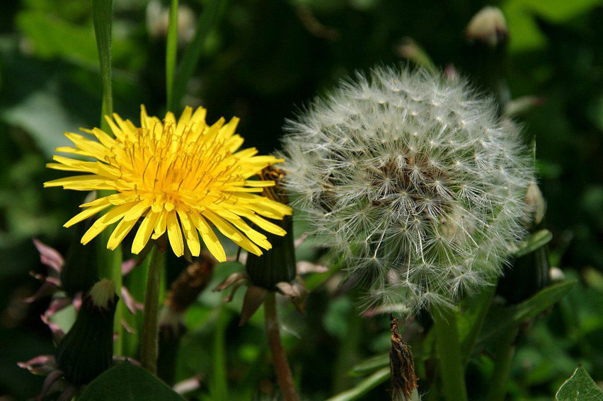Аня! Жизнь нас закружила...