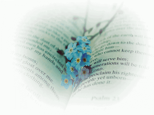 А я - не вдруг и не случайность...