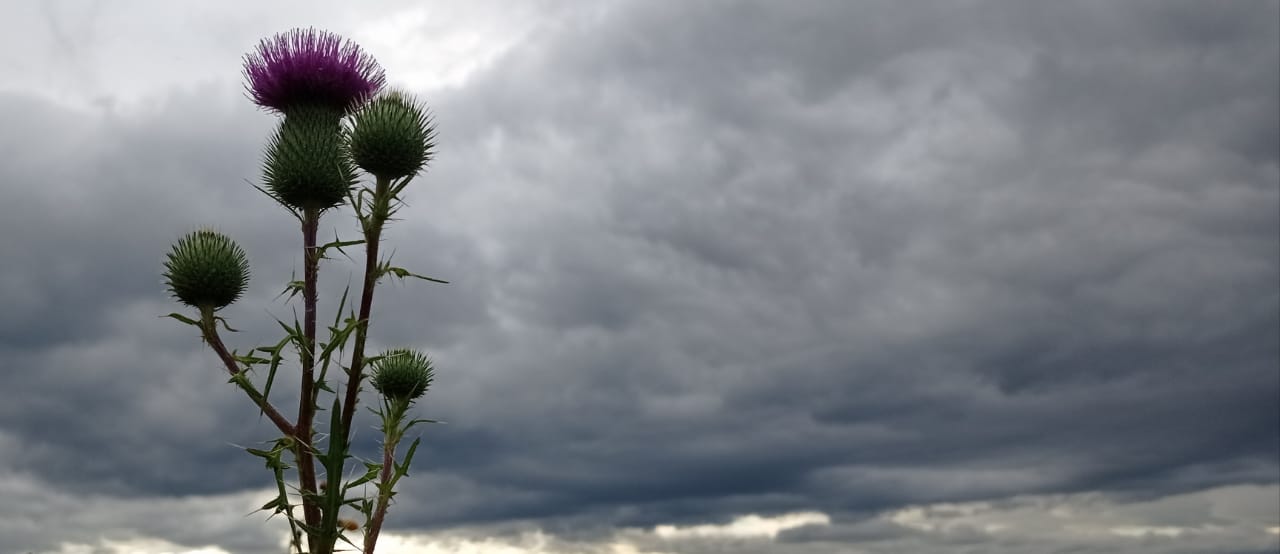 Затерянный август