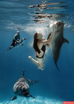 Дельфинотерапия